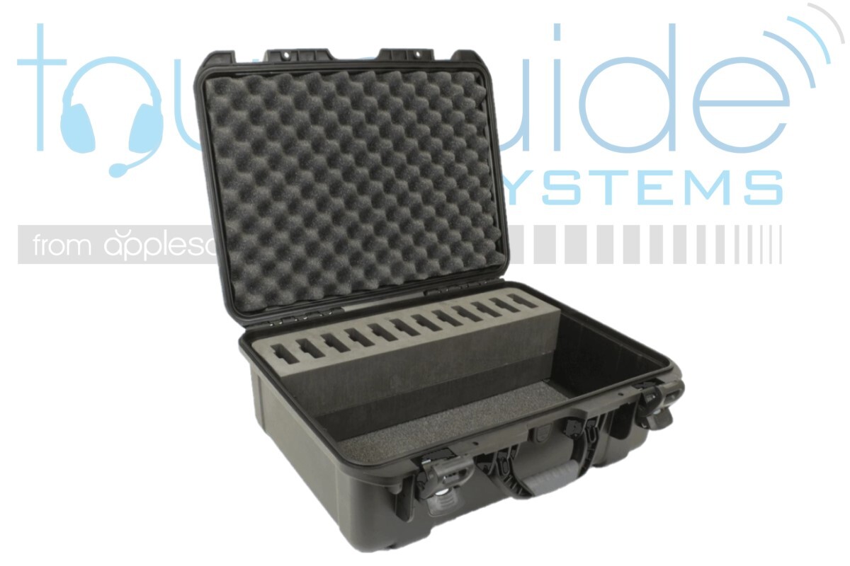 CCS 042 DW Heavy-Duty Carry Case (12 slot)
